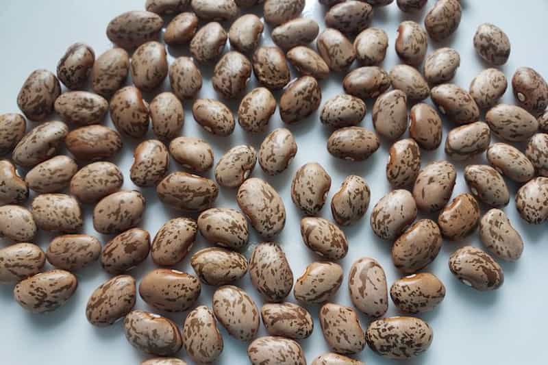 خرید لوبیا چیتی شمالی + قیمت فروش استثنایی